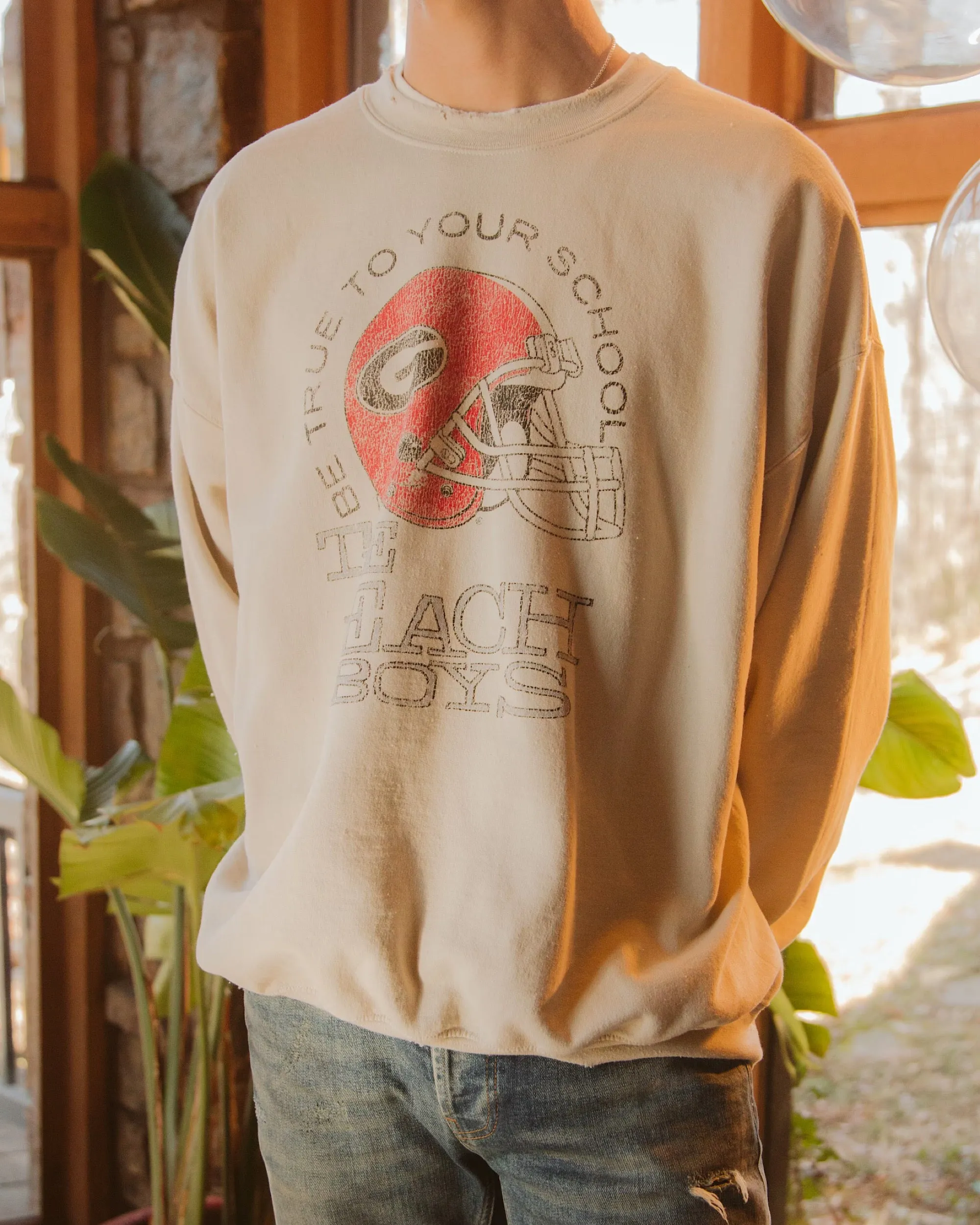 The Beach Boys UGA True To Your School Sand Thrifted Sweatshirt